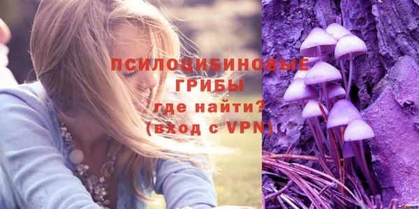 ALPHA PVP Мегион
