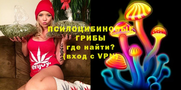 ALPHA PVP Мегион